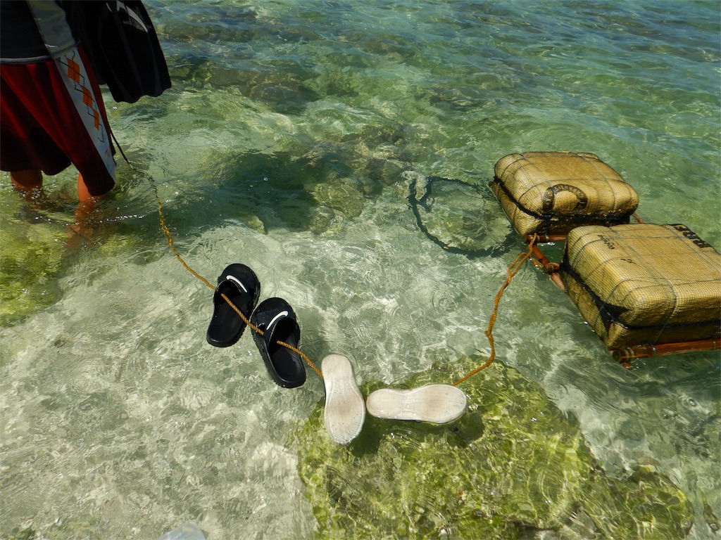 f:id:aroundranai:20200305232107j:image moalboal-snorkeling-sardine