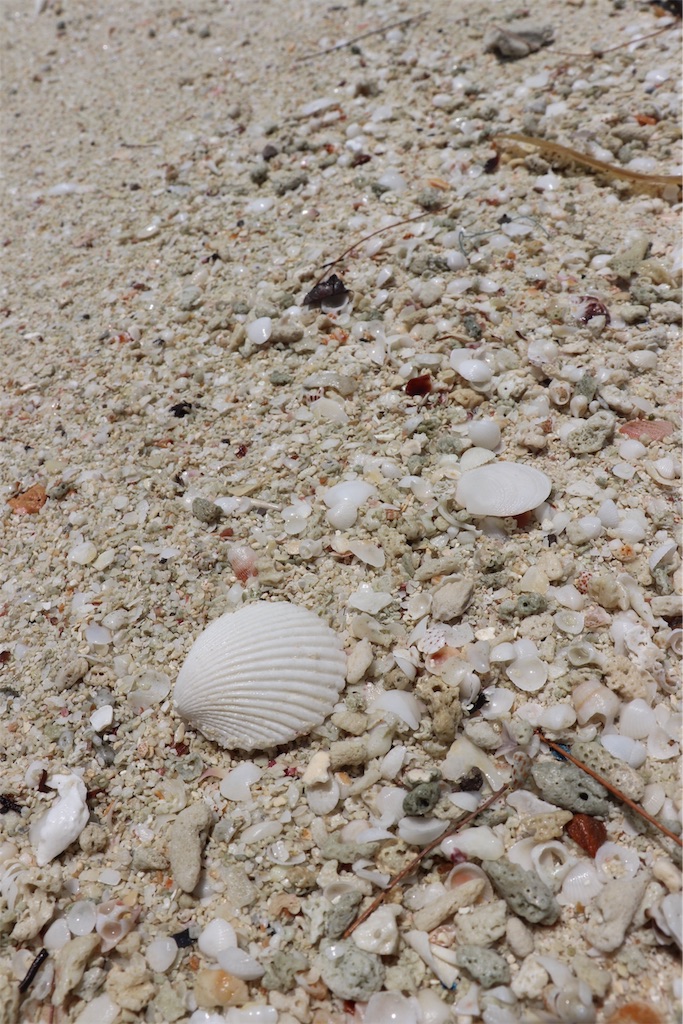 f:id:aroundranai:20200315191208j:image プーケットピピ島のシュノーケリング写真” width=