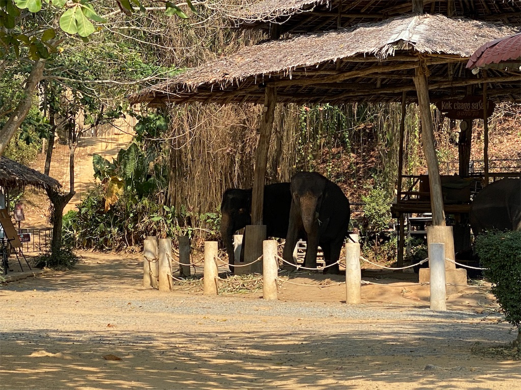 f:id:aroundranai:20200325202614j:image