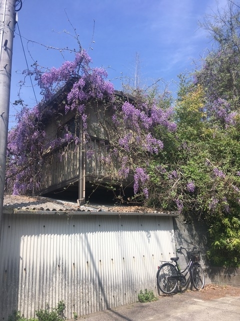 f:id:aroy12:20220412203810j:plain