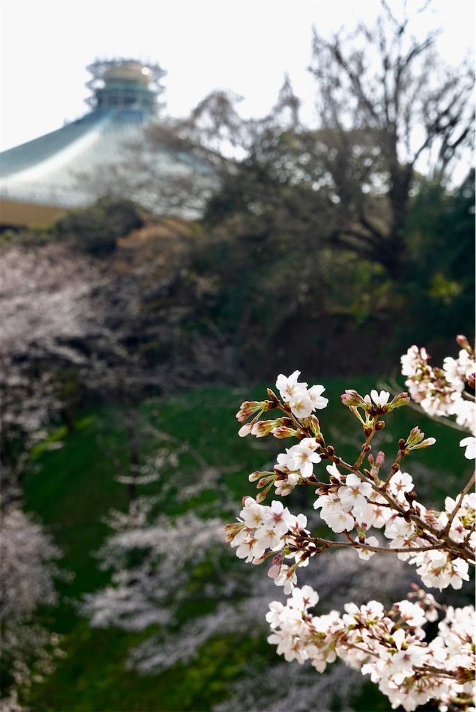f:id:arpeggio51:20190430232716j:image