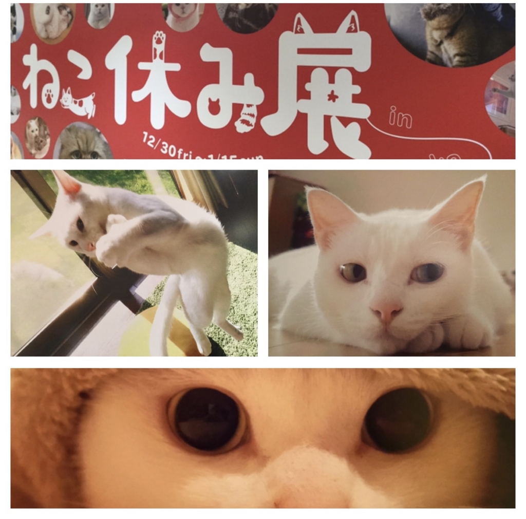 f:id:arpksoda:20170130173218j:plain f:id:arpksoda:20170130173218j:plain