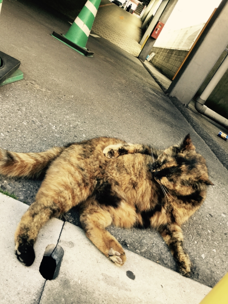 f:id:arpksoda:20170219173820j:plain f:id:arpksoda:20170219173820j:plain