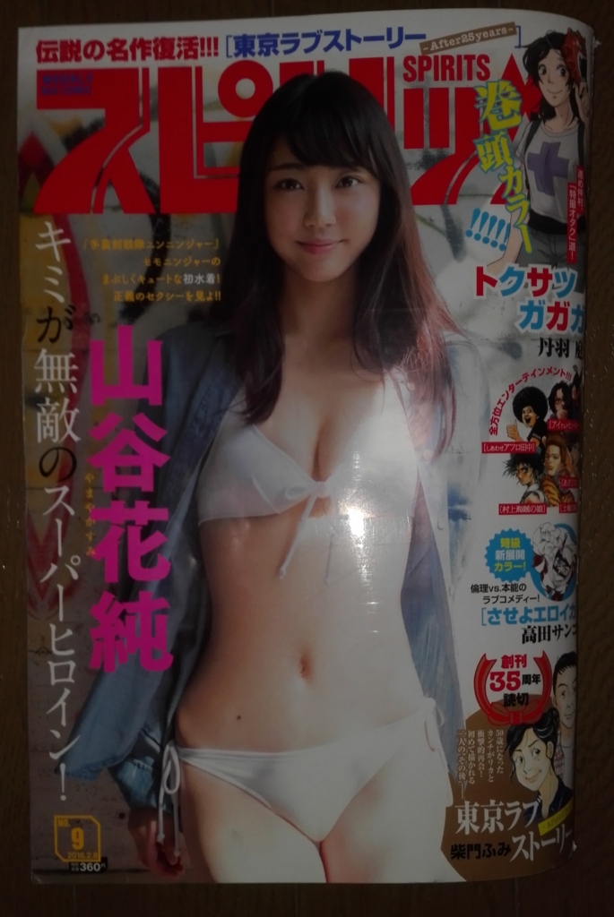 f:id:arrow1953:20160129002153j:plain