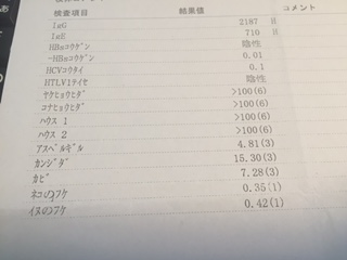 f:id:arrow_07:20160706105822j:plain