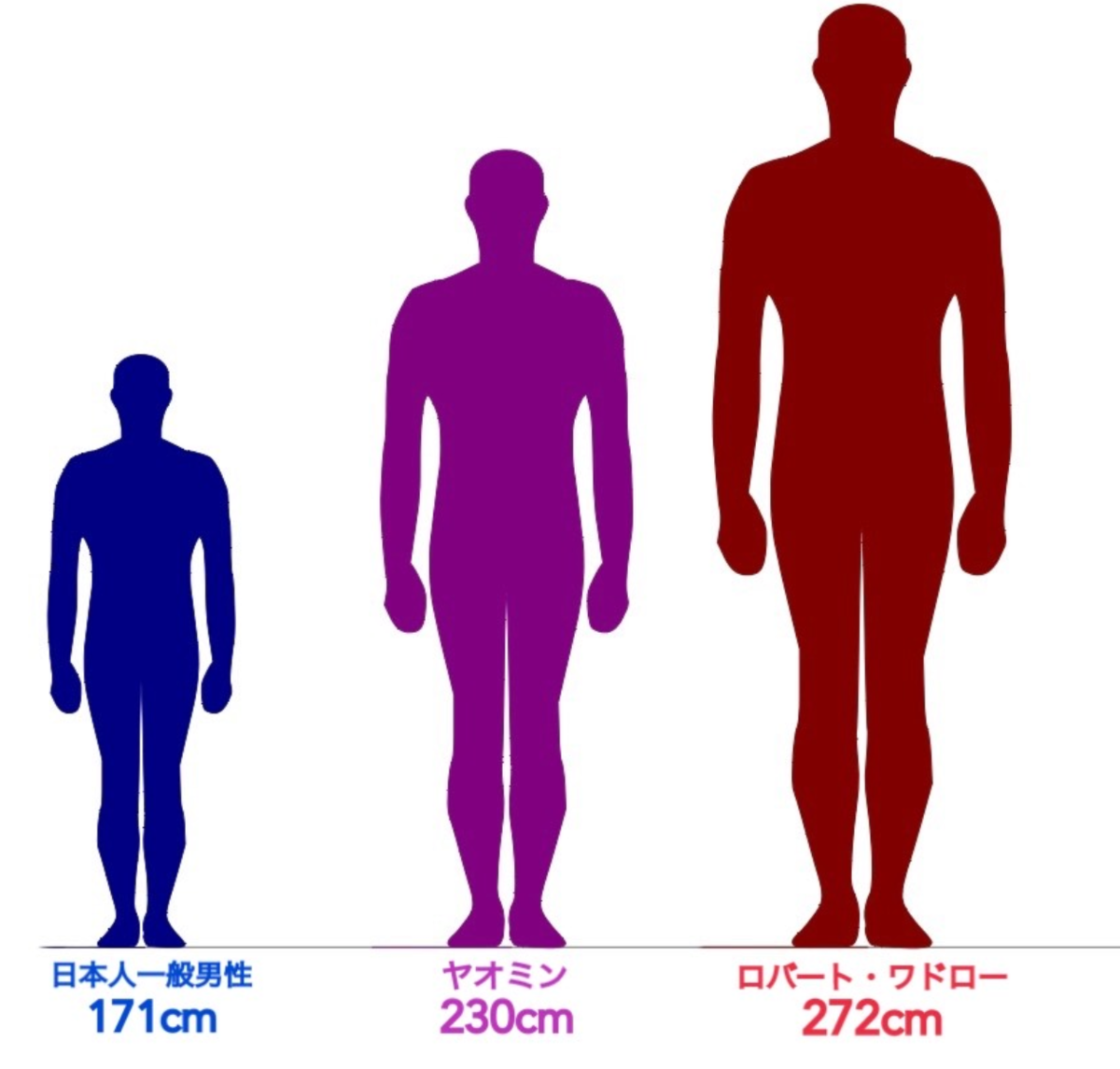 年最新 世界の身長が高い人たちを大紹介 身長比較 りょうの未来ブログ 年最新 世界の身長が高い人たちを大紹介 身長比較 りょうの未来ブログ