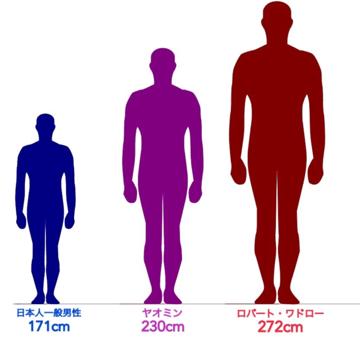 年最新 世界の身長が高い人たちを大紹介 身長比較 りょうの未来ブログ