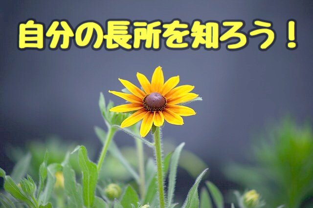 f:id:ars5_rk10:20180930203852p:plain