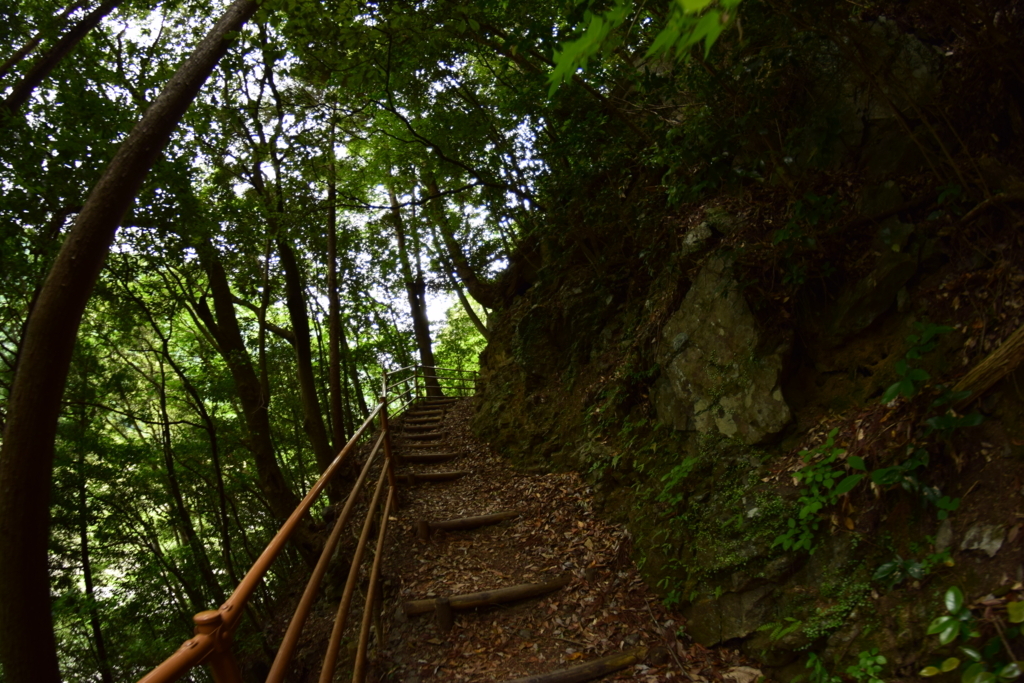 f:id:arsliamnt4:20170710101621j:plain