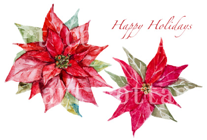 f:id:art-cottage:20161113232949j:plain