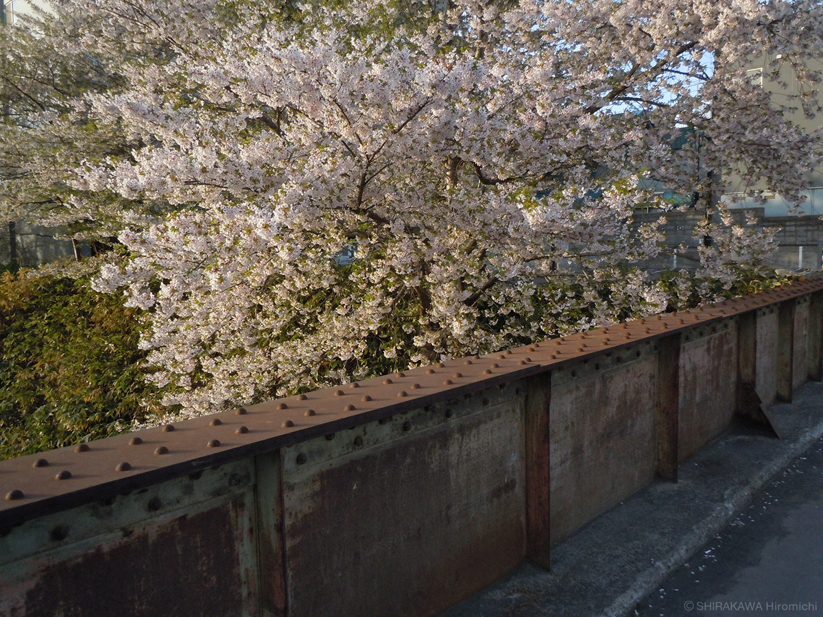 f:id:art-hokkaido:20200528030354j:plain f:id:art-hokkaido:20200528030354j:plain