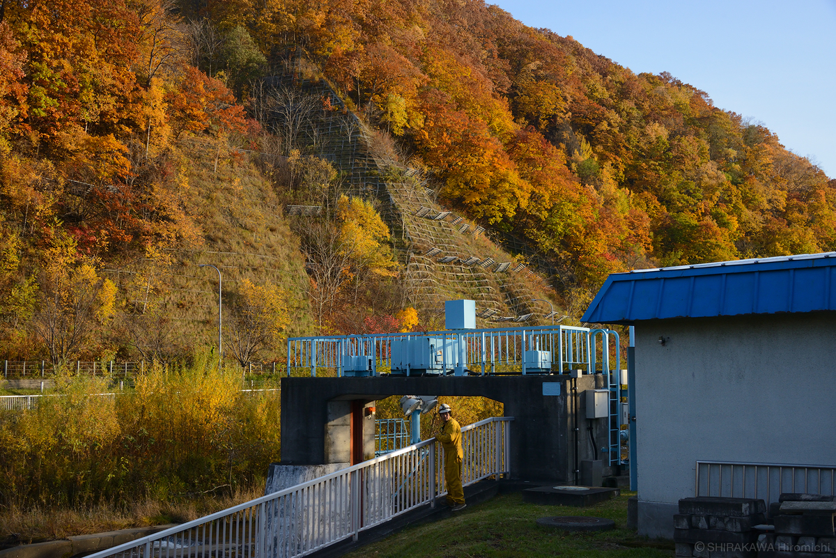 f:id:art-hokkaido:20201114233000j:plain