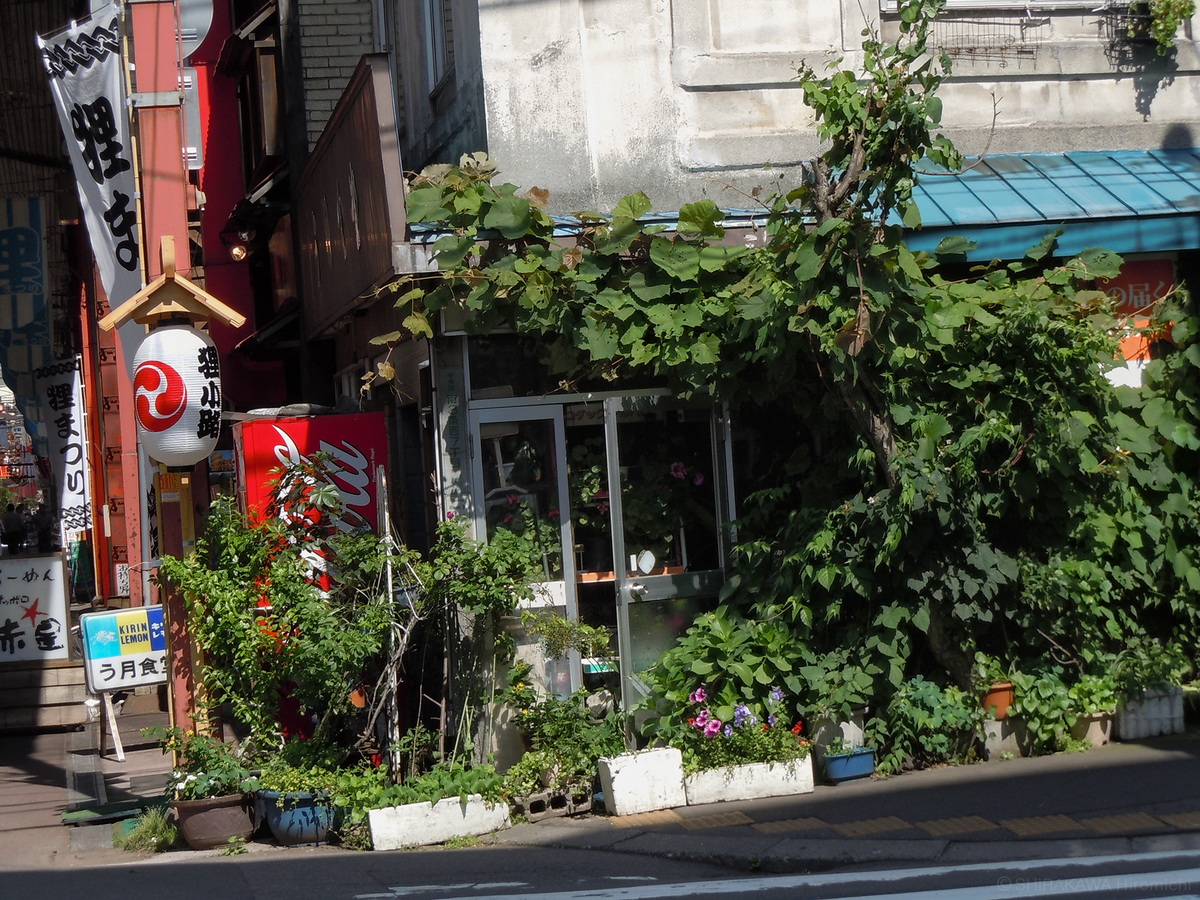 f:id:art-hokkaido:20211007181616j:plain