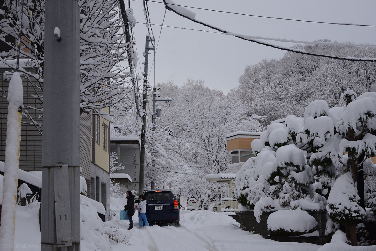 f:id:art-hokkaido:20220219002944j:plain