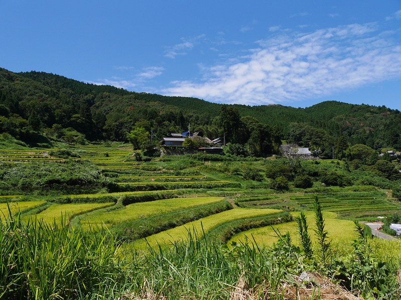 大阪府 里山ハイキング 能勢町 長谷の棚田 晴歩雨描