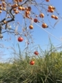 20171026154447