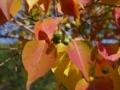 20171027161748