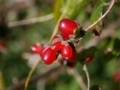 20171027161801