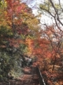 20171201160213