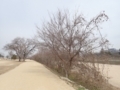 20180228143425