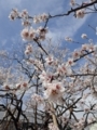 20180318155925