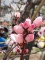 20180318155950