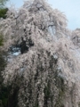 20180319130452