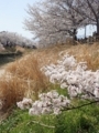 20180328202155