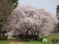 20180401164227