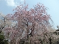 20180402214226