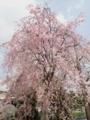 20180402214229