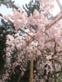 20180402214233