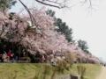 20180402214236