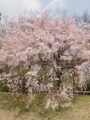 20180402214247