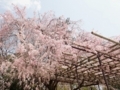 20180402214252