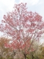 20180402214306