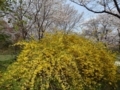 20180402214309