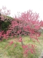 20180402214318