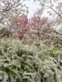 20180402214344