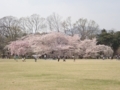 20180402214353