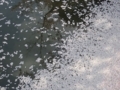 20180402220234