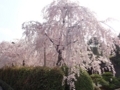 20180402220254