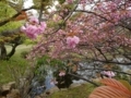 20180408154441