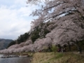 20180411155054