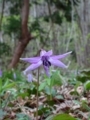 20180411160411