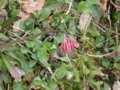 20180411160933