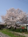 20180411173150