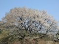 20180411173226