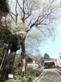 20180411173230