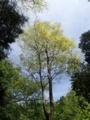 20180426161556
